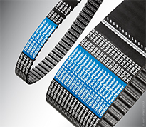 Opti belts deals